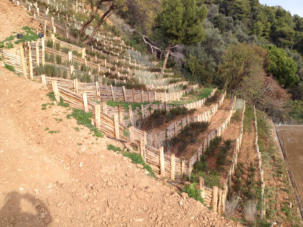 Opere Pubbliche Varie